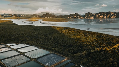 绿山湖附近的观点
